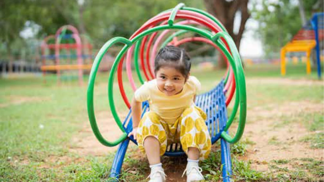 Kohinoor Woodshire Bhugaon Jungle Gym Image